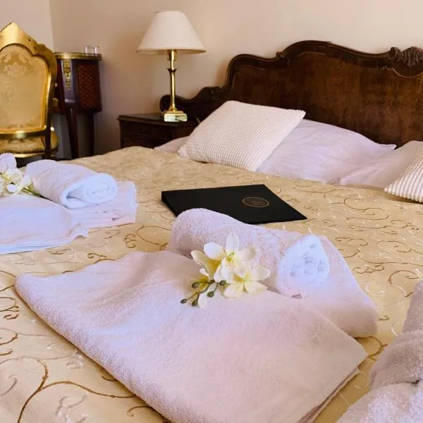 Wellness hotel Rezidence, hotel v Nových Hradech