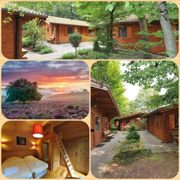 Lodges Veluwse Poort、ディーレンのホテル