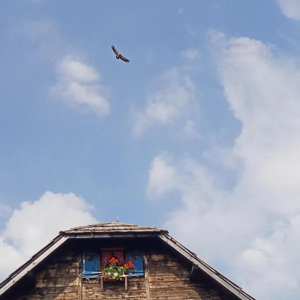 Planinarski dom "Tornik" Zlatibor, ξενοδοχείο σε Ribnica