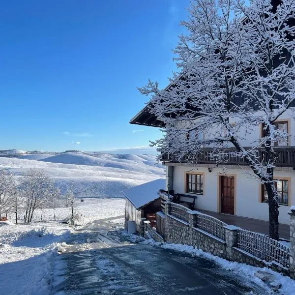Guest House Vila Djokic, hotel en Zlatibor