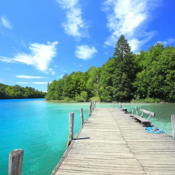 VIP Apartments & Room, hotel a Rakovica