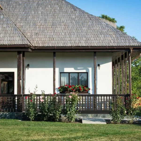 Pensiunea Tara Fagilor、スチャヴァのホテル