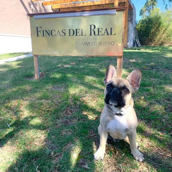 Fincas del Real, hotell sihtkohas Colonia del Sacramento