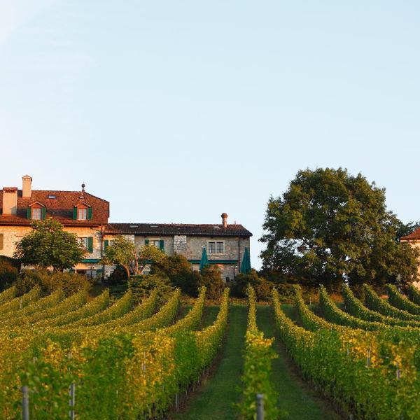 Domaine de Châteauvieux