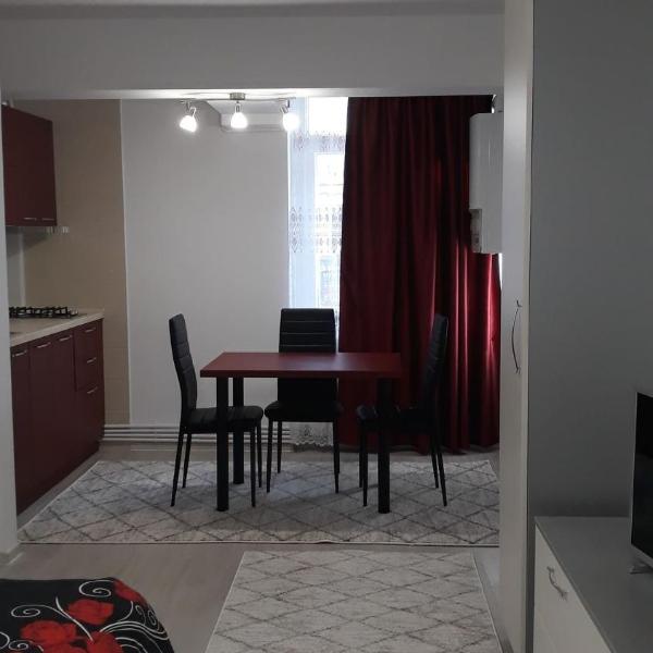 Irvin Apartament