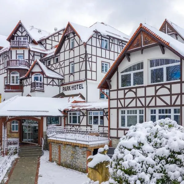 Park Hotel Kur & Spa, hotel v destinaci Świeradów-Zdrój