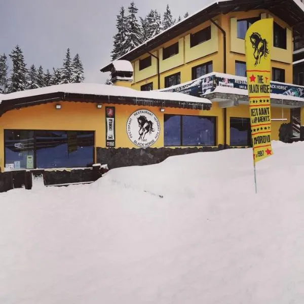 Apartments Black Horse, hotel v destinaci Pamporovo