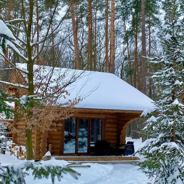 Комплекс Старый Пруд, отель в городе Filippovichi