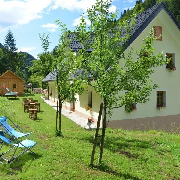 Farmhouse Štiftar, hotel in Solčava