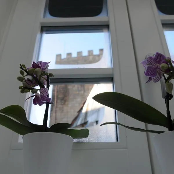 The Castle House, hotel in Lamego