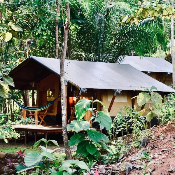 El Pulpo Safari Lodge, hotel in Ojochal