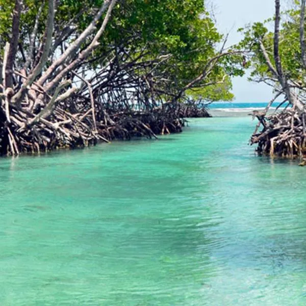 Combate Green House, hotel v destinaci Cabo Rojo