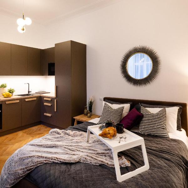 Brivibas House Design Apartments In City Center