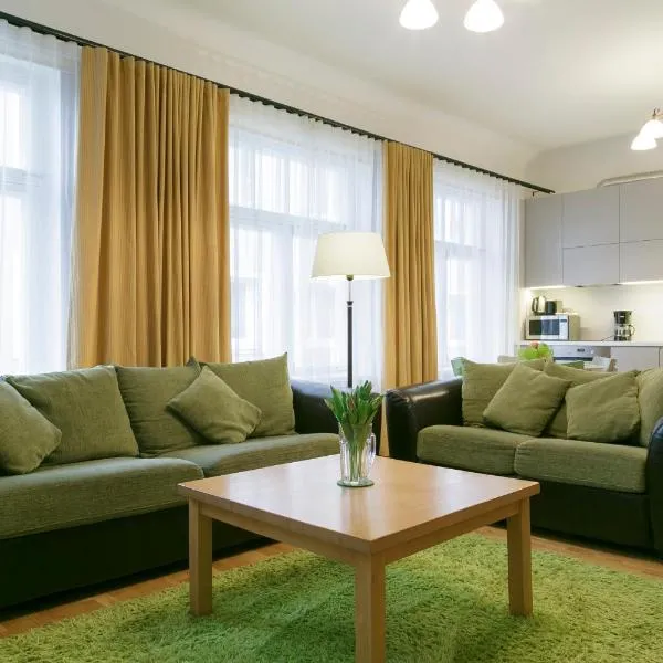 Saaresalu City Center Apartment，位于派尔努的酒店