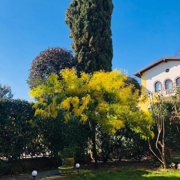 Casa Mimosa