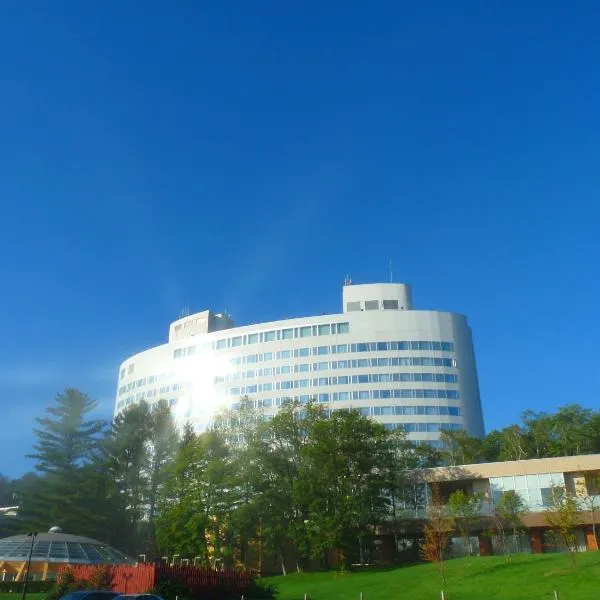 Shin Furano Prince Hotel，位于富良野的酒店