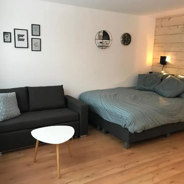 Appartement Familie Willems Winterberg Am Waltenberg, hotel i Winterberg