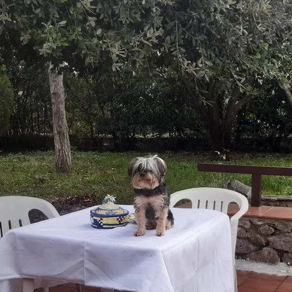 la casa di Mario, ξενοδοχείο σε Itri