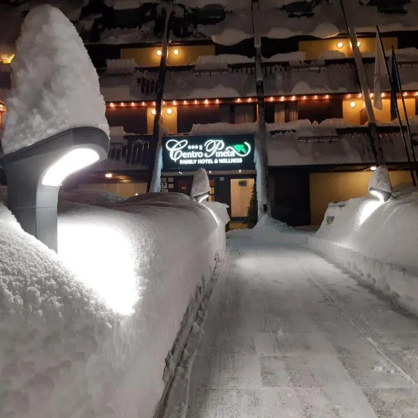 皮妮塔中心家庭健身旅馆，位于平佐洛的酒店