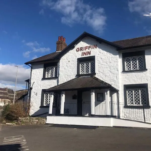 Griffin Inn, viešbutis mieste Ridinas
