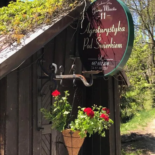 Agroturystyka Pod Świerkiem, hotel in Srebrna Góra