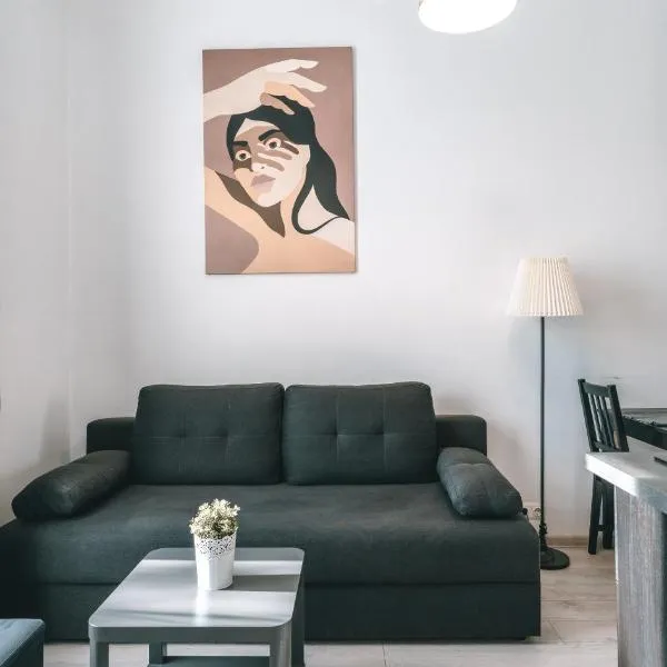 Brother House Kaunas，位于考纳斯的酒店