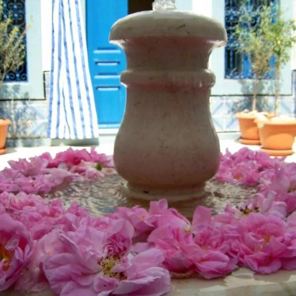 Dar Baaziz, hotel in Sousse