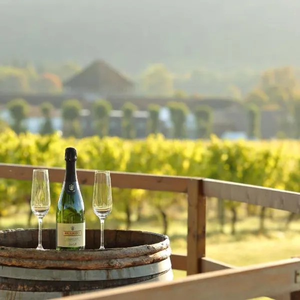 Denbies Vineyard Hotel, hotel v destinaci Dorking