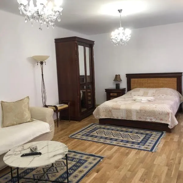 STUDIO RICHARD, hotel in Braşov