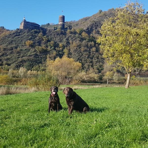 Ferienhaus Leopold mit Burgblick an der Mosel