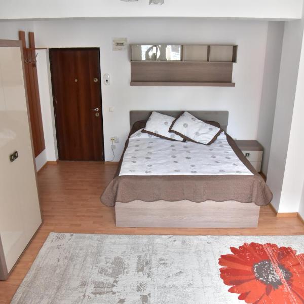 Apartament Frunzei