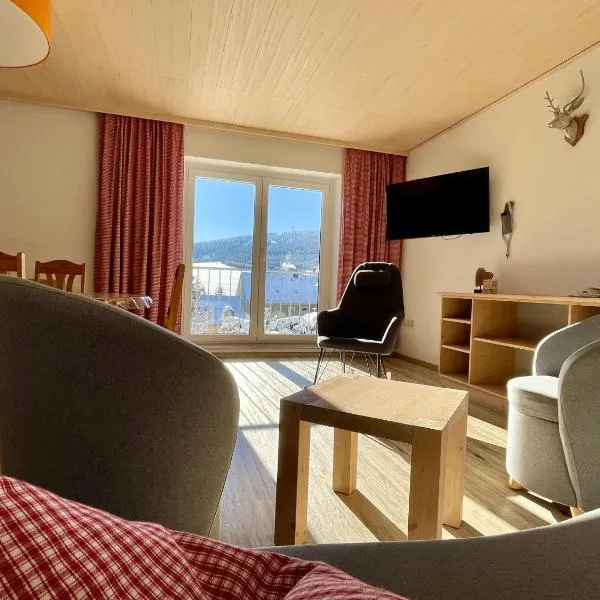 Appartements Gahler - Kurort Oberwiesenthal, hotel in Kurort Oberwiesenthal
