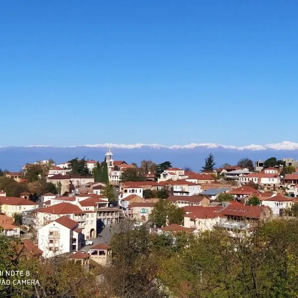 GUEST HOUSE DAVID, hotel v destinaci Signagi