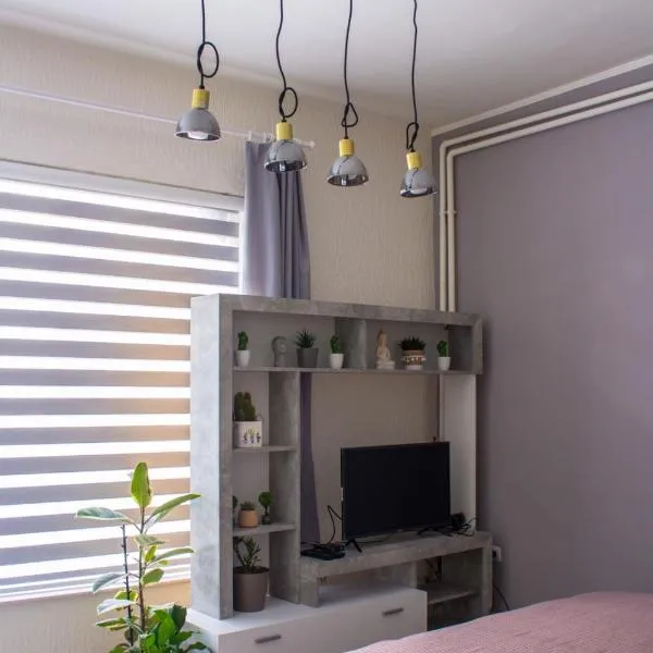 BB Downtown Apartment, hotel di Bajina Basta