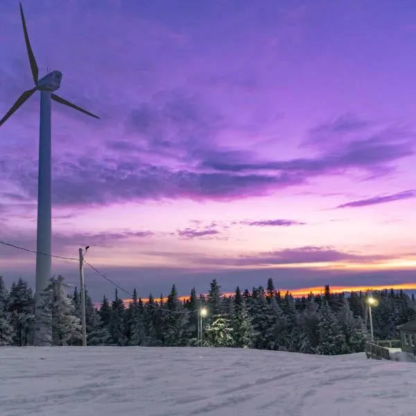 The Inn at Bolton Valley, Hotel in West Bolton
