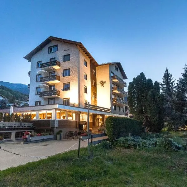 Hotel Alpenhof, hotel v destinaci Unterbäch