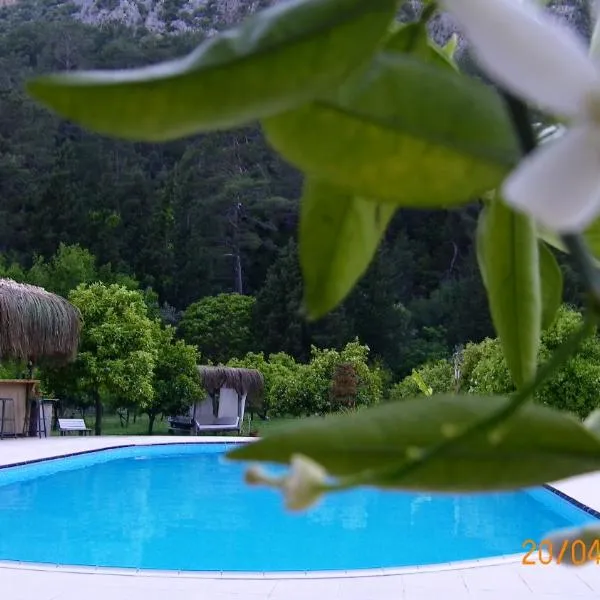 Portalimo Lodge Hotel - Adult Only +12, hotel v destinaci Çıralı