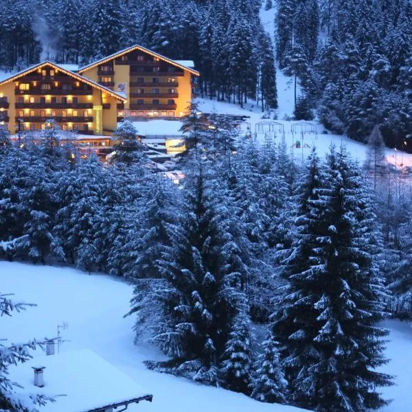 Hotel Shandranj, hotel di Tesero