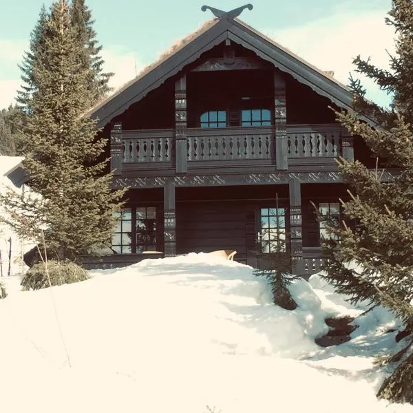 Ski and Bike-In and Out, hotel a Hafjell