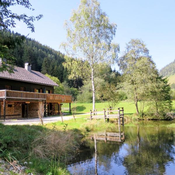 Chalet Fischerhütte - STN100 by Interhome