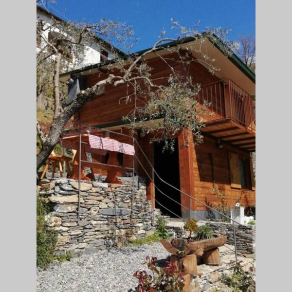 La Casetta di Molly tra ulivi e roseto