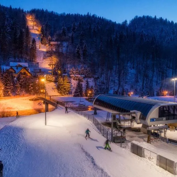 Willa Pod Kolejką, hotel em Szczawnica