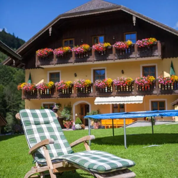 Bio-Bauernhof Vordergrubenbach - Familie Oberascher, hotell sihtkohas Hintersee