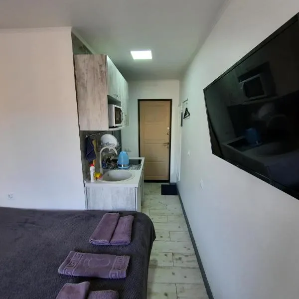 Подобово міні-студія метро Дорогожичі Київ, khách sạn ở Kiev