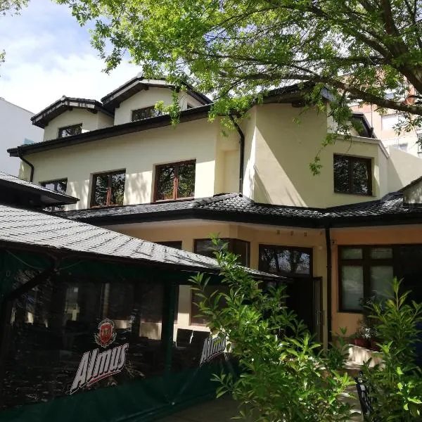 Hotel Ponti, hotel in Vidin