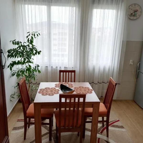 Apartman LENA, hotel v destinaci Aranđelovac