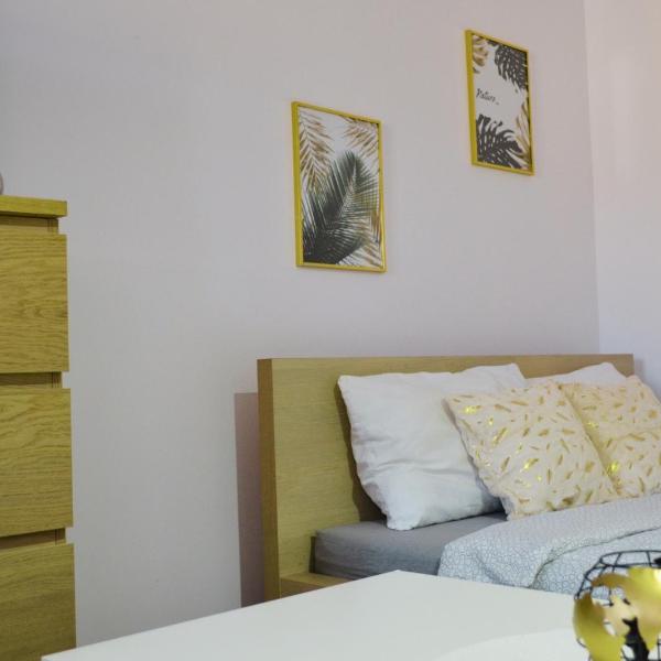 Apartament Poznań Extra Zone