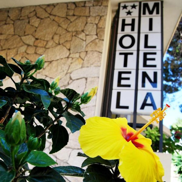 Hotel Milena