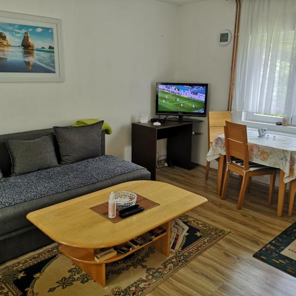 Apartmani Žubor