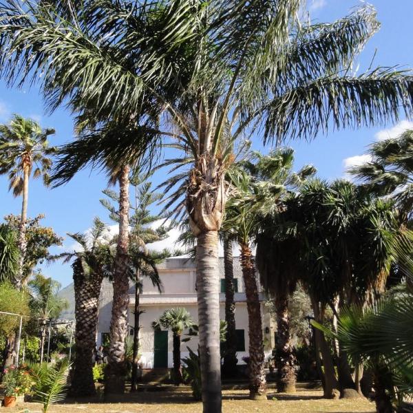 Villa Ponticelli